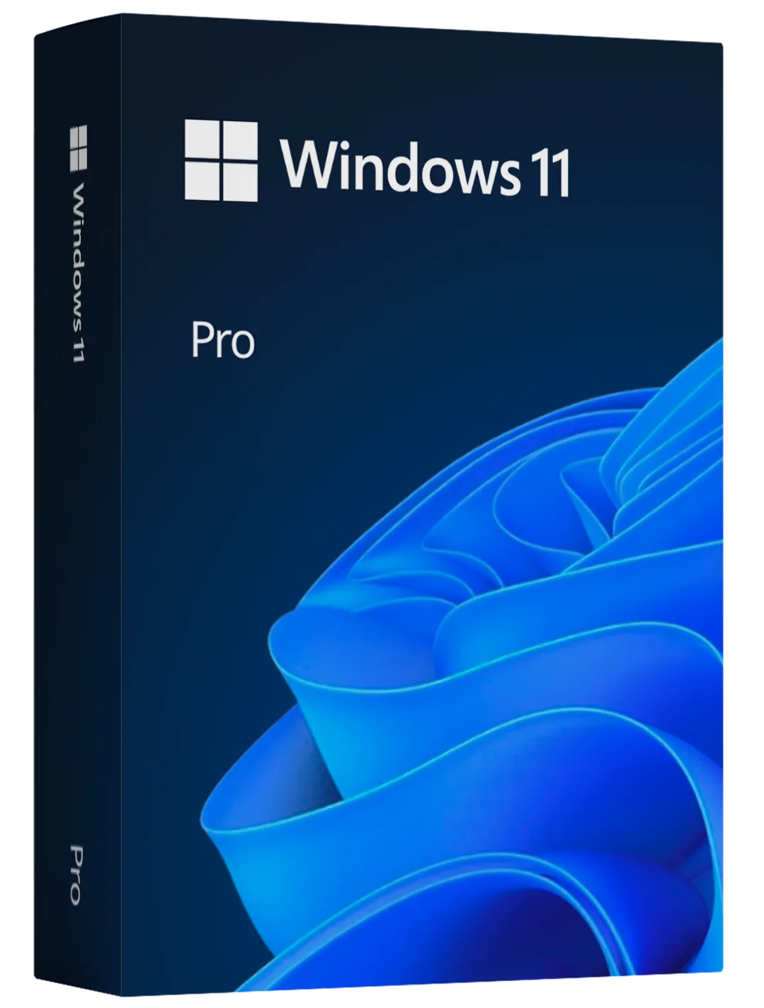 Windows 11 Professional Retail